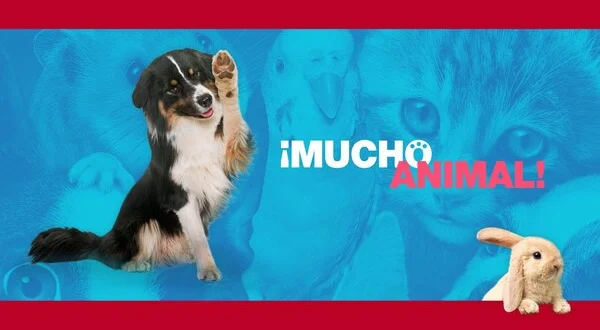 Mucho animal