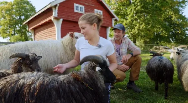 Jon's Farm - Abenteuer Bauernhof