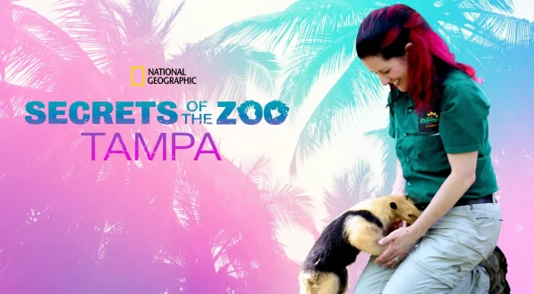 Hemmelighederne i Zoo: Tampa - en stjerne fødes