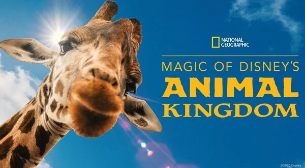 Magic of Disney's Animal Kingdom