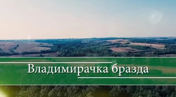 Vladimiračka brazda