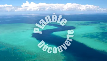 Planète découverte