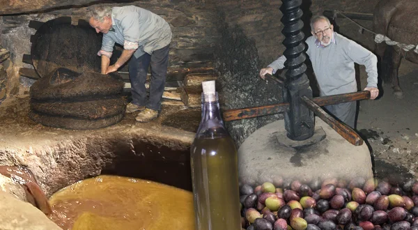 Aceite artesanal. Elaboración tradicional de este "oro líquido" en una almazara centenaria