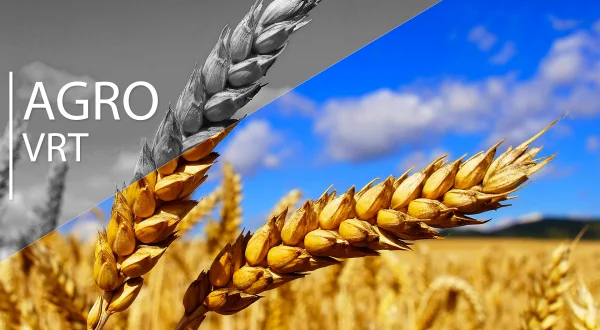 Agrovrt
