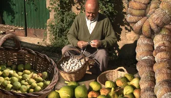 Los higos secos. Secado en cañizos y enrastrado manual para su conservación y consumo en invierno