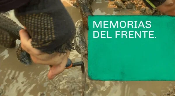 Memorias del frente
