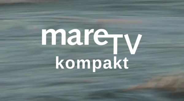 mare TV kompakt
