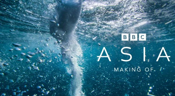 Asia: Making Of