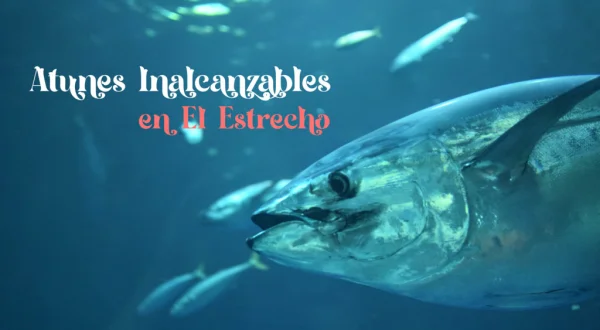 Atunes inalcanzables del Estrecho