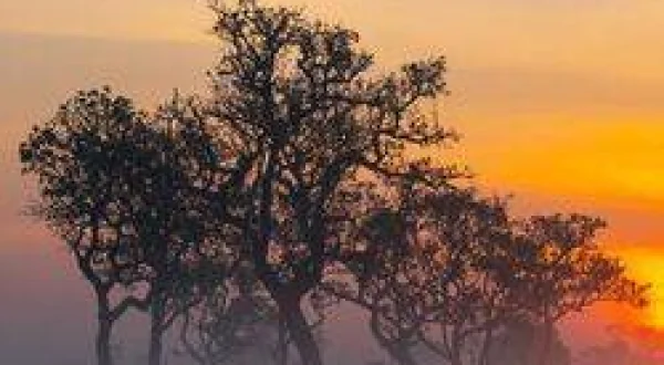 Afrika Hikayesi