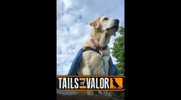 Tails of Valor