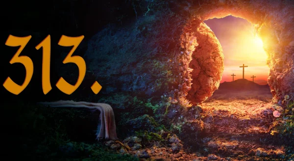 313