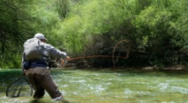 Pesca em Perigo de Extinção: Barbada Com Vara