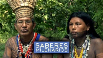 Saberes milenarios