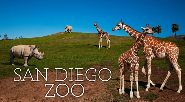 San Diego Zoo