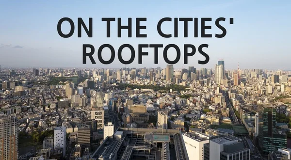 On the Cities' Rooftops