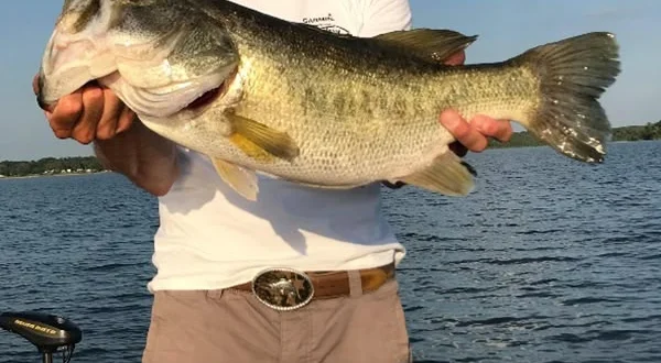 SOS Bass Fishing 4