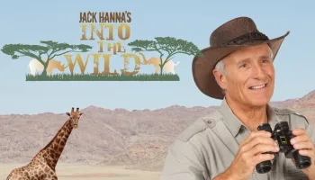 Jack Hanna's Into the Wild