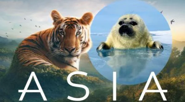 Asya