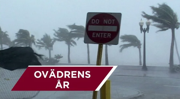 Ovädrens år