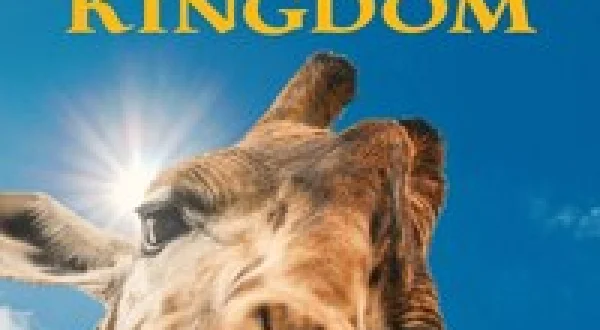 Magic of Disney's Animal Kingdom