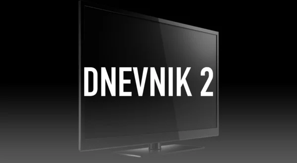 Dnevnik 2