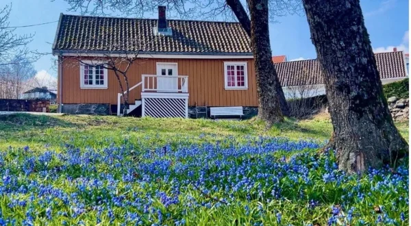 Une maison, un artiste