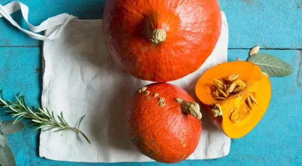 Kulinarische Genüsse im Herbst