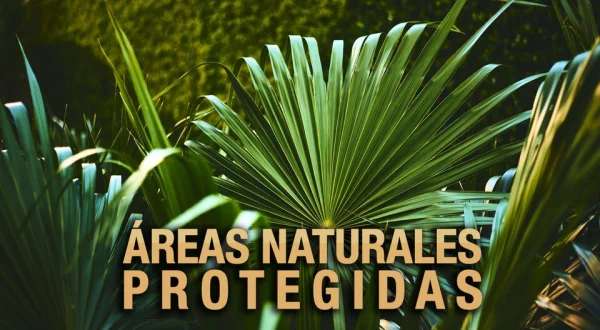 Áreas naturales protegidas