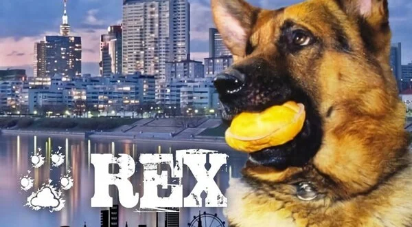 Rex