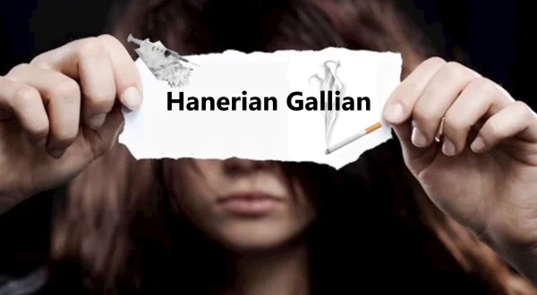 Hanerian Gallian