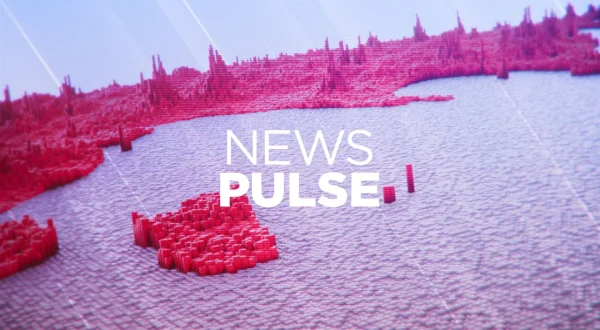 News Pulse