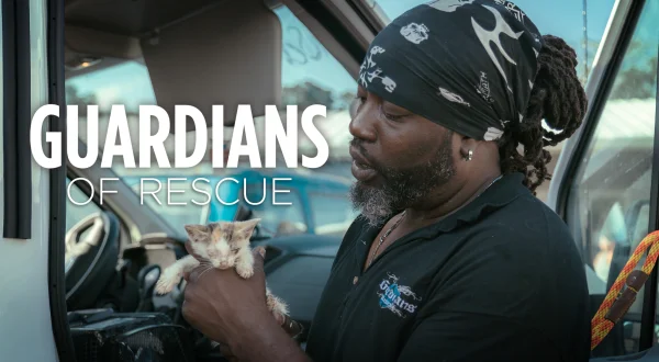 Guardians of Rescue