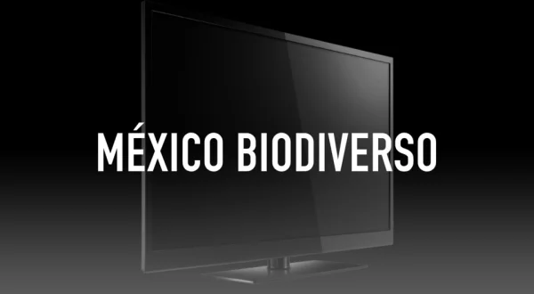 México Biodiverso
