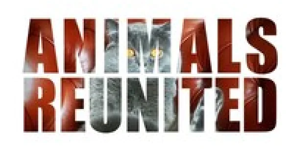 Animals Reunited