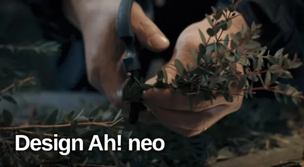 Design Ah! neo