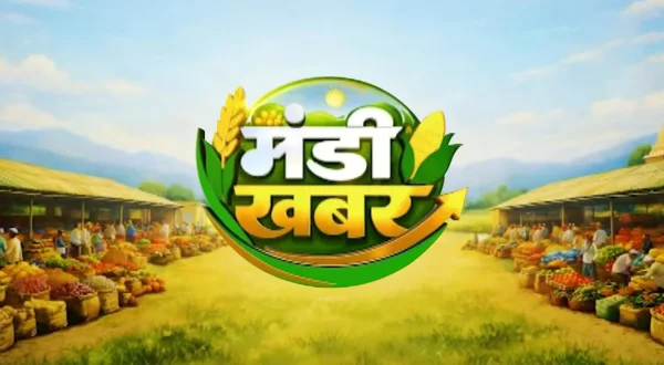 मंडी खबर