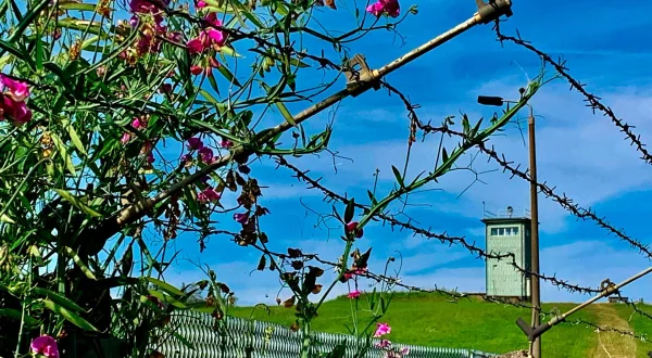 Wall, Bunker, Green Belt - The New Culture of Remembrance