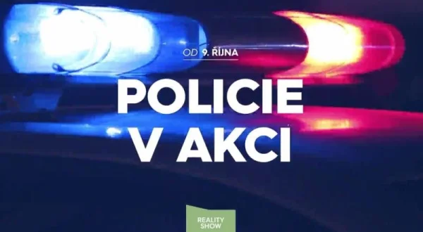 Policie v akci