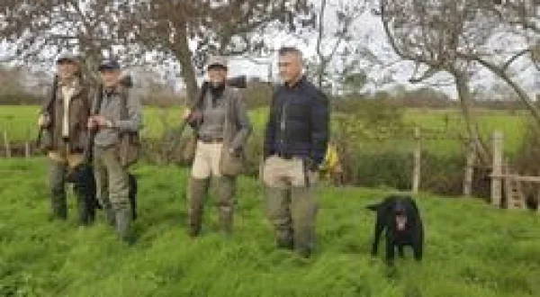 Bien utiliser son retriever à la chasse