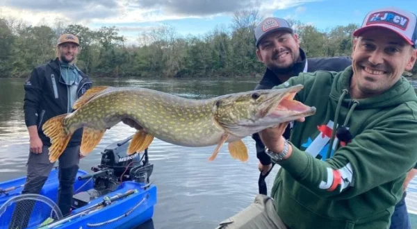 Pêcheurs Dordognots et la bête aux 700 dents
