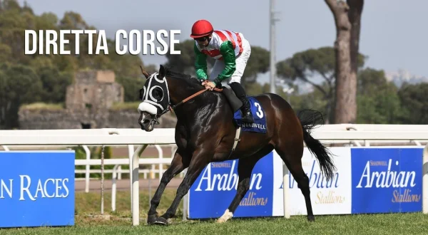 Live: Diretta corse