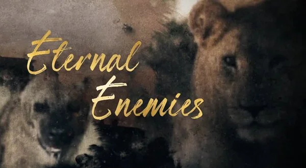 Eternal Enemies