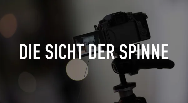 Die Sicht der Spinne