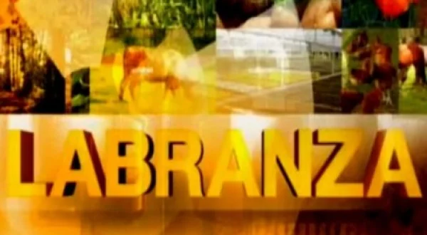 Labranza