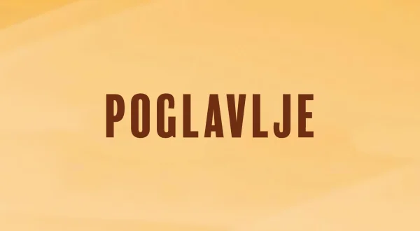 Poglavlje