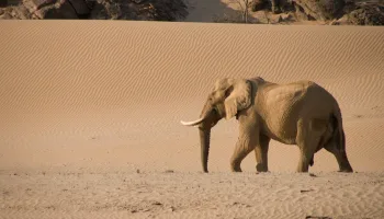Namibia – Flüsse aus Sand