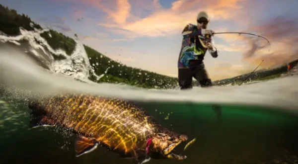 The New Fly Fisher