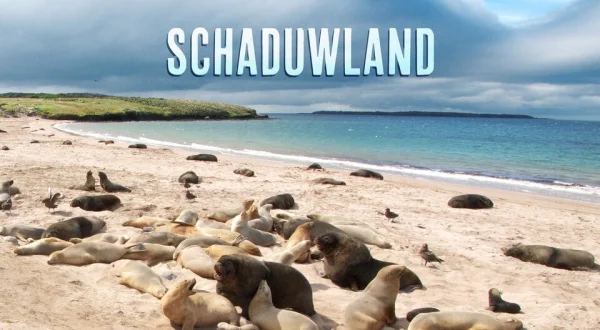 Schaduwland