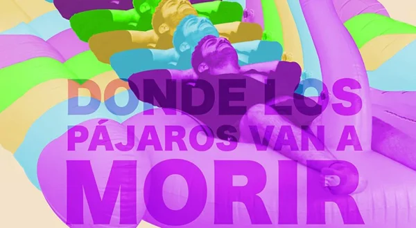 Donde los pájaros van a morir